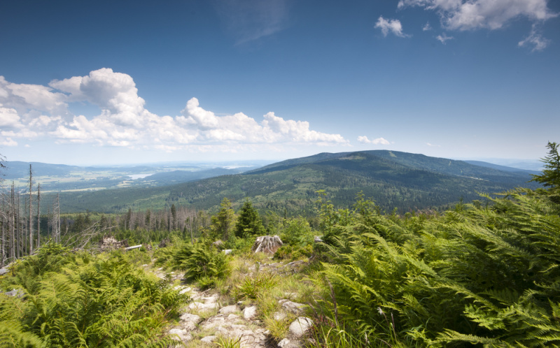 Šumava