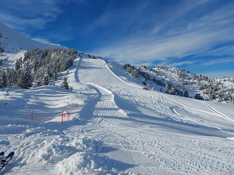 Val di Fiemme